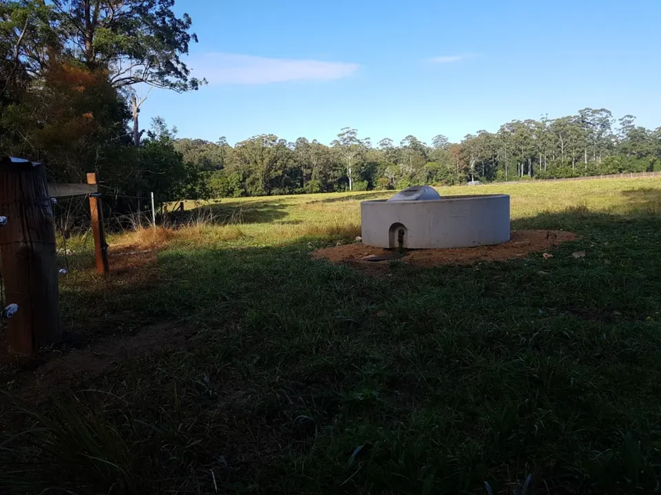 Fenced water trough in a green paddock with forest in the background