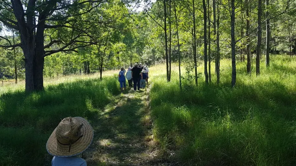 Beginners Bird Watching Day