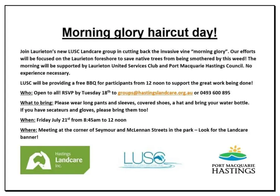 Flyer for Morning glory haircut day in Laurieton on Friday 21 July, with Hastings Landcare, LUSC and council logos
