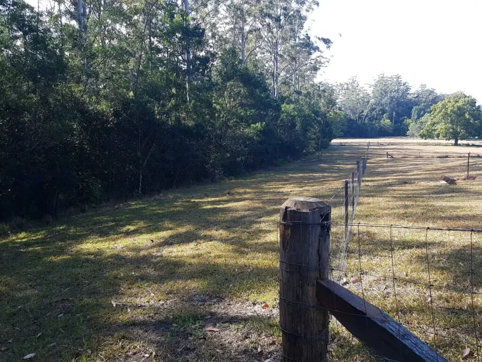 Fenceline pulled out to widen buffer zone. Regeneration of bush is already occurring post removal of stock.