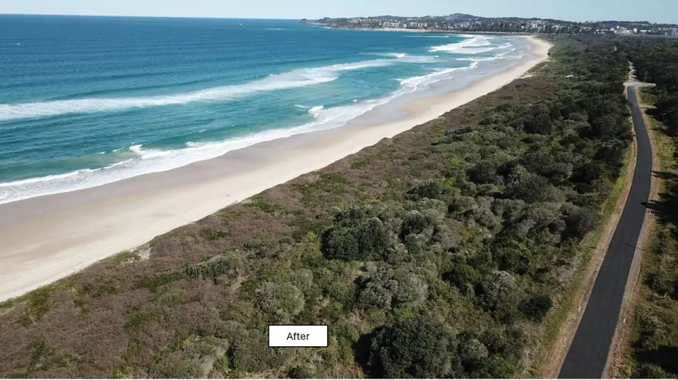 Aerial view of the same coastal dune and road after drone spraying, with healthier native vegetation