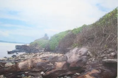 Coastal headland with rocky shoreline and dense native shrubs under a hazy sky