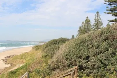 Coastal dune slope covered in dense native shrubs above a sandy beach, with a timber boardwalk rail