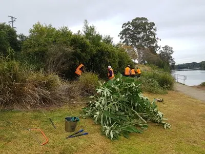 Volunteers in orange hi-vis cutting back vegetation beside a river, with a pile of cut branches and hand tools