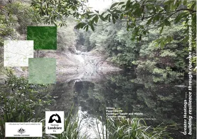 Cover artwork for the riparian landscape links project showing a rainforest creek pool, with Australian Government and Hastings Landcare logos