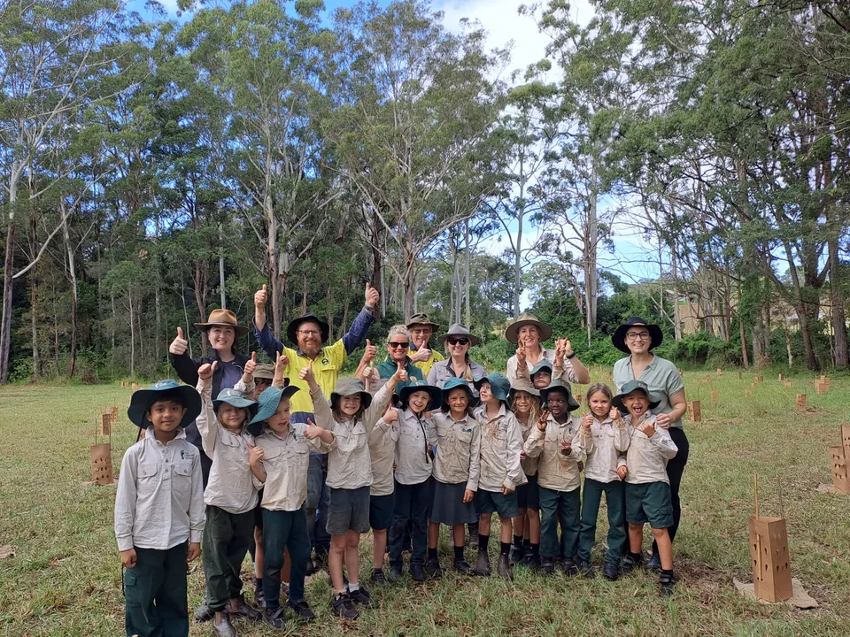 300 Koala Food and Shelter Trees Planted to Strengthen Koala Habitat (2026)