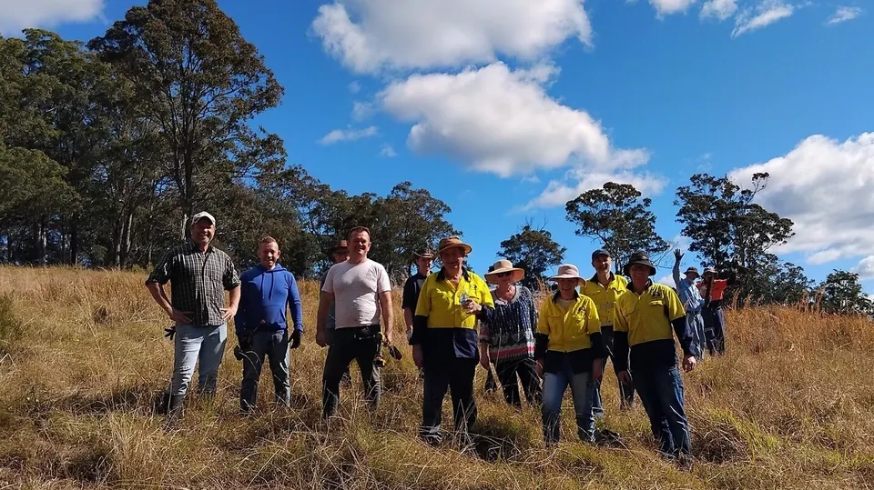Volunteers Plant 300 Trees on National Tree Day! (2025)