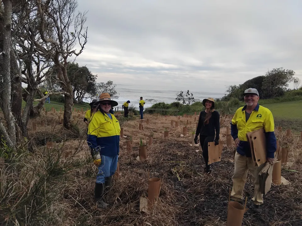 Historic 'Tank Stream' Brought Back to Life Through Local Landcare and Council Partnership (2025)