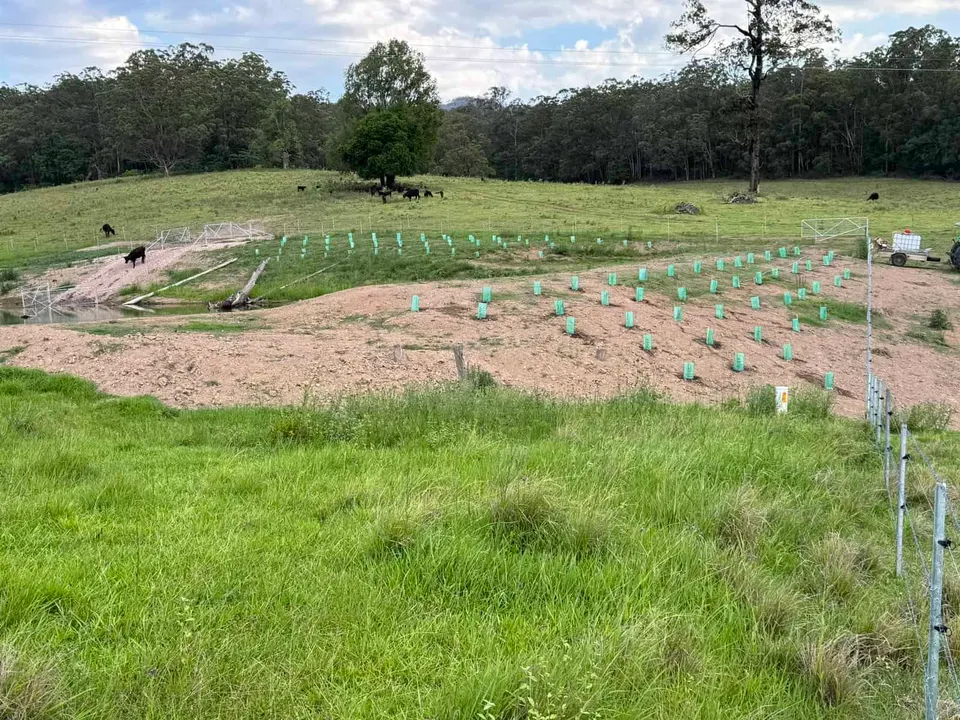 Local Farmer Turns Dam into Biodiversity Hotspot! (2024)