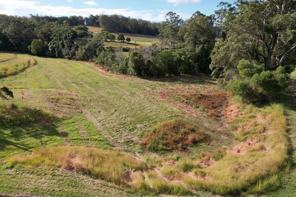 Local Farmers Enhance Riparian Biodiversity Hotspot!(2023)