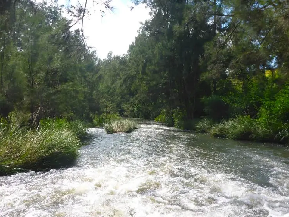 Building resilience through riparian landscapes links 2017