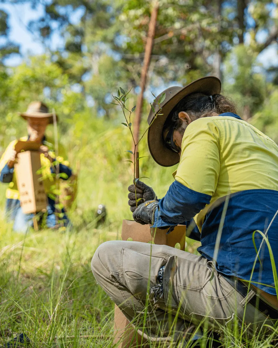 Why Volunteer with Landcare?(2026)