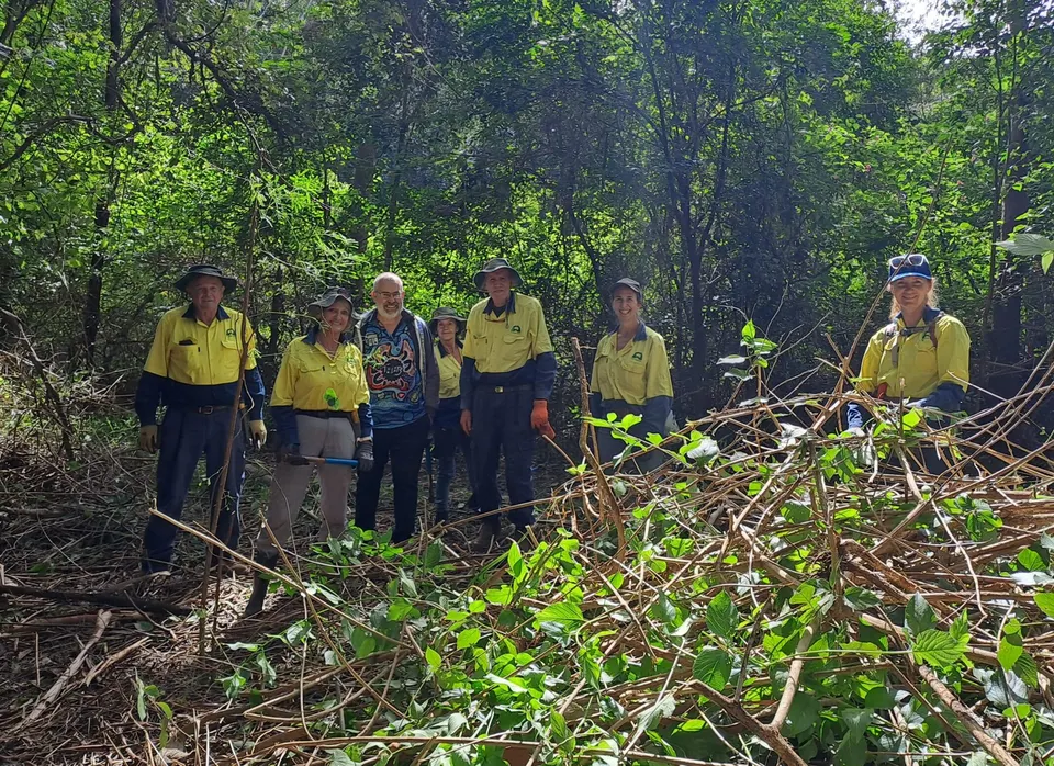 Lantana Weeding Day- Rollands Plains (2025)