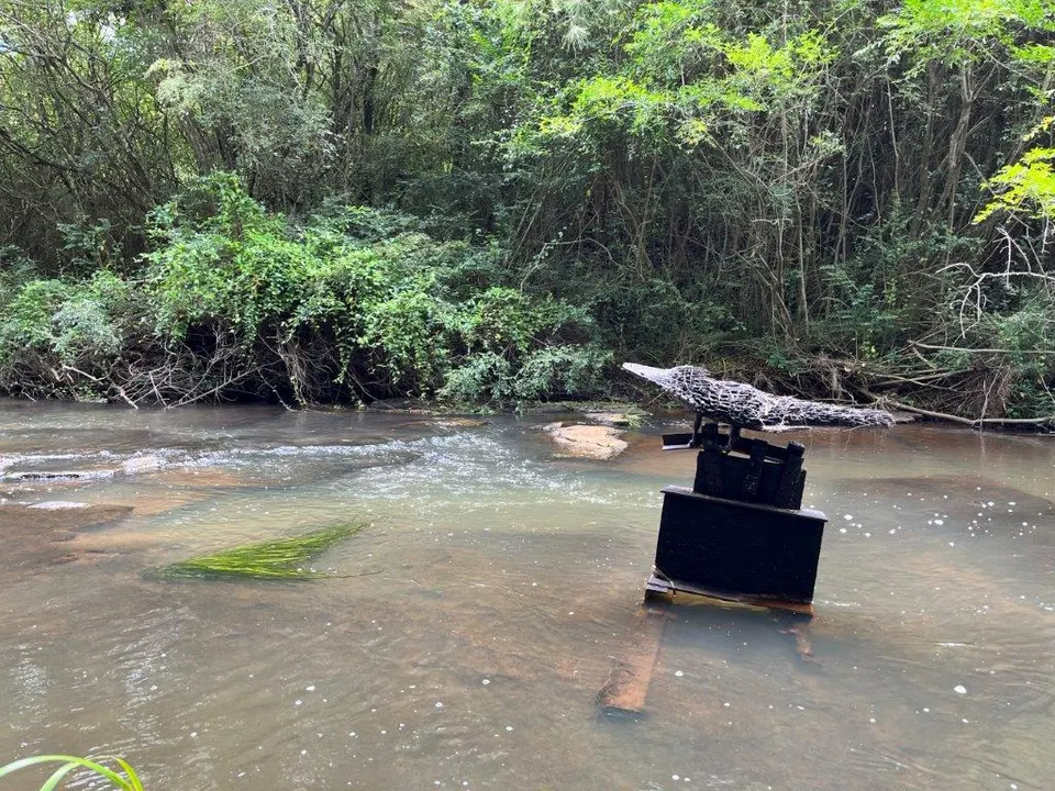 Nature Journalling and Platypus Spotting Comboyne (2025)
