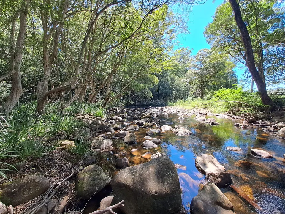 Bush Breathing Morning with Landcare (2025)
