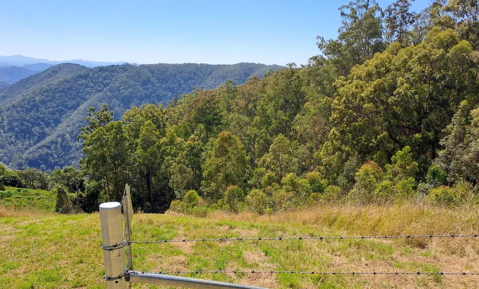 Habitat Restoration Workshop (Ellenborough & Surrounds)
