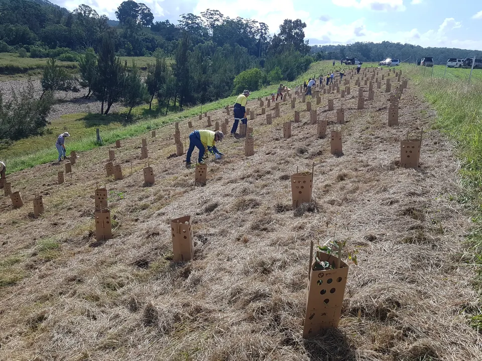 Community Plantings Day- 14th June 2024!