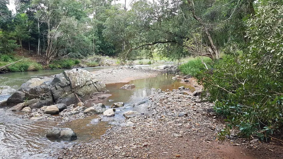 Why look after our rivers, water and biodiversity?