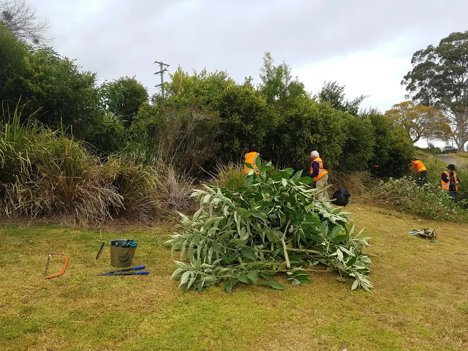 NAB funding helps Wauchope Group get up and running