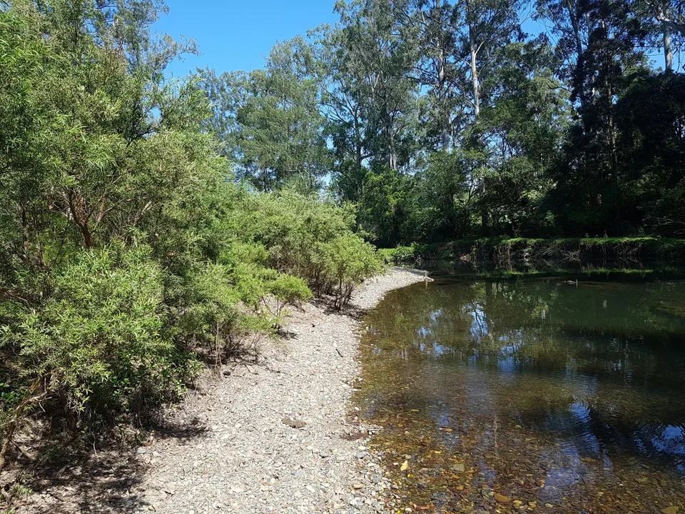Riparian Resilience