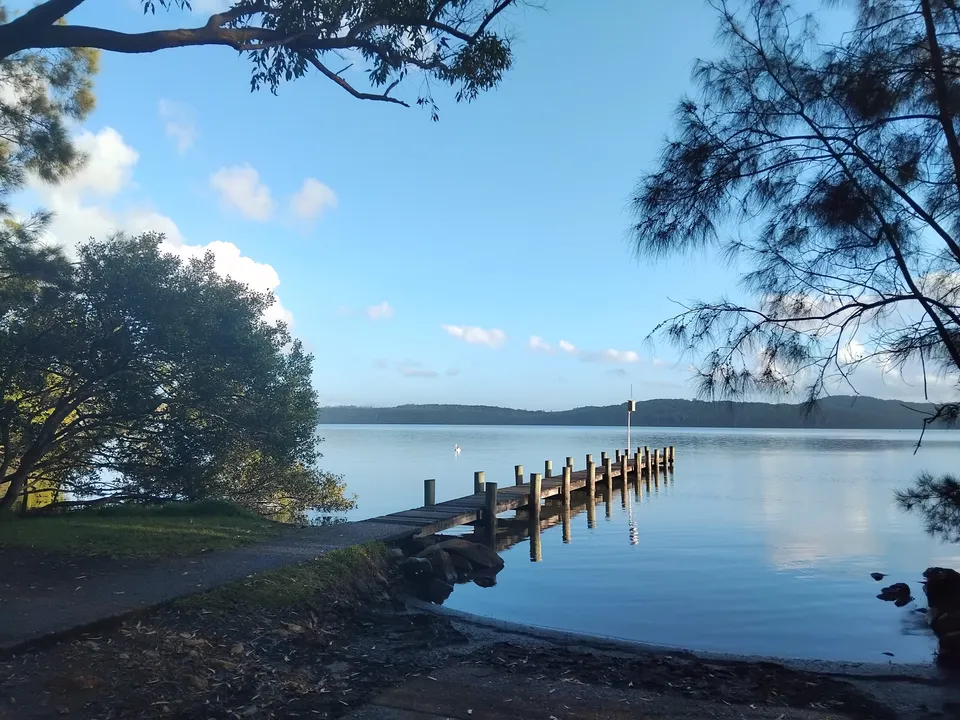 Queens Lake Landcare Group