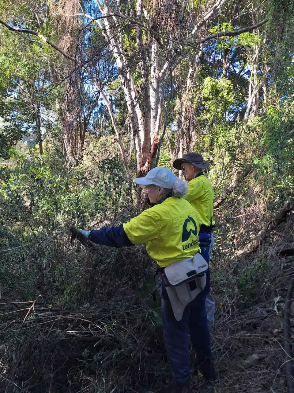 Laurieton Landcare Group