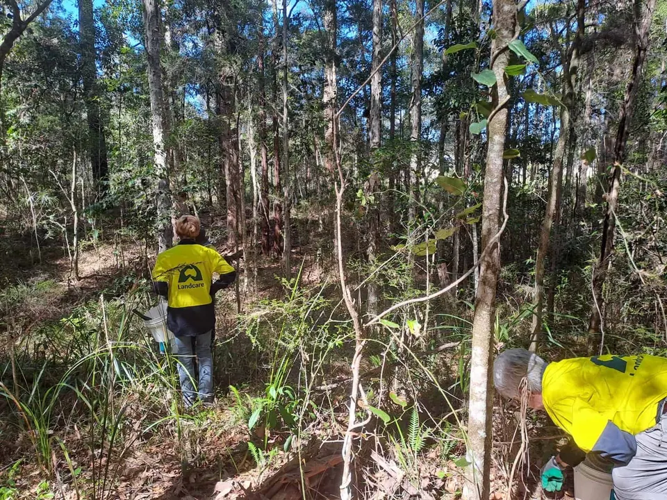 Yippin Creek Bushcare Group