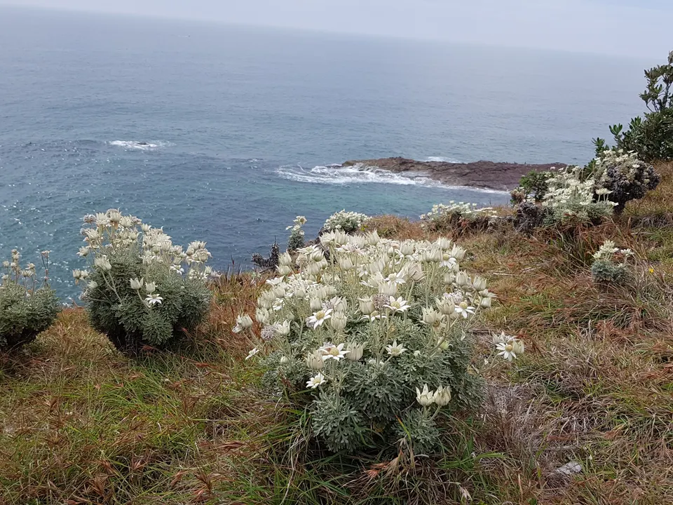 Bonny Hills Landcare Group