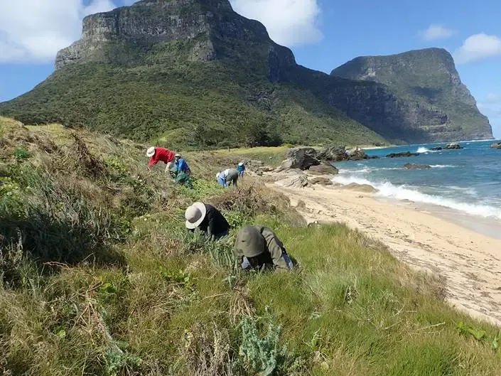 Friends of Lord Howe Island